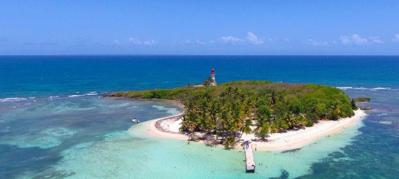 Tour Faidherbe 4 Residence Des Iles Pointe-à-Pitre Zewnętrze zdjęcie
